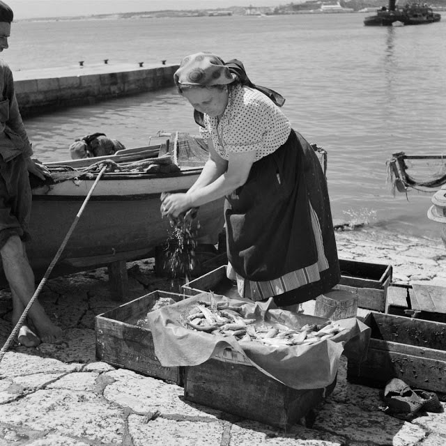  Làng chài ở Bồ Đào Nha thập niên 1950 nằm giữa hai thị trấn Ericeira và Nazaré. Ảnh: Người phụ nữ đang lấy hải sản mới đánh bắt ngoài khơi để vào thùng gỗ để đựng bán. Ảnh VT